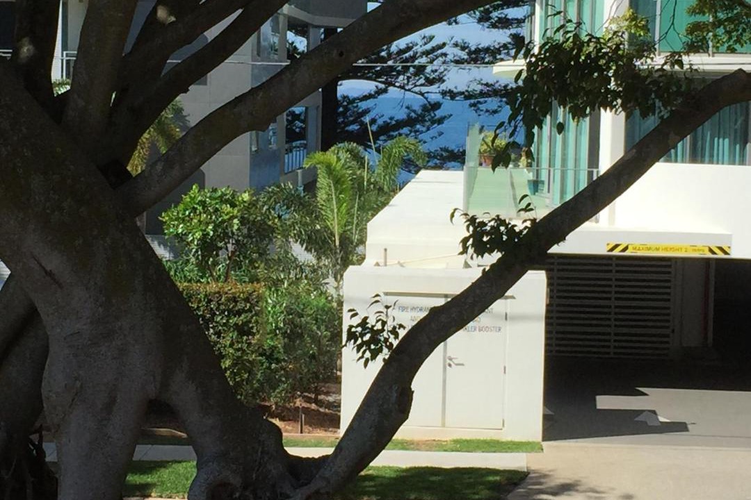 Photo of Others in Redcliffe