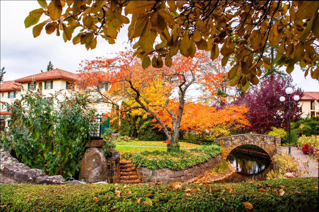 Photo of Others in Hood River