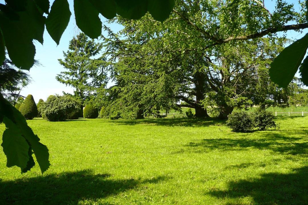 Photo of Others in Morlhon-le-Haut