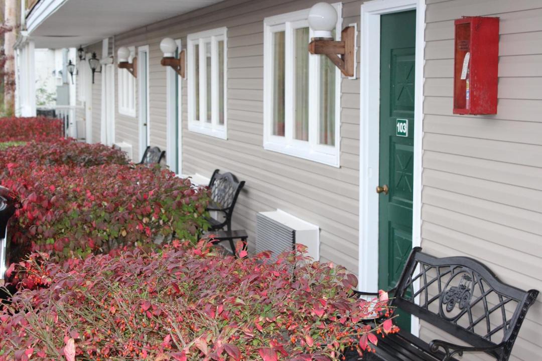 Photo of Others in Austerlitz