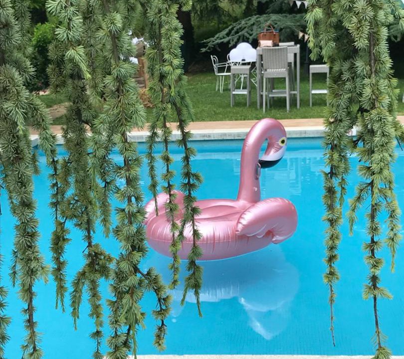 Photo of Outdoor in La Balme-de-Sillingy