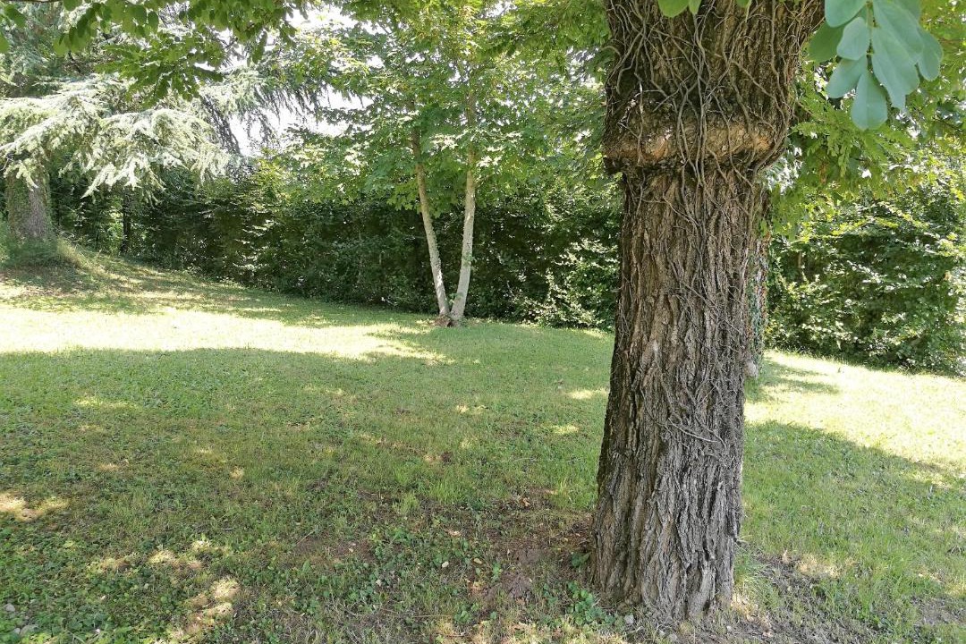 Photo of Others in Espalion