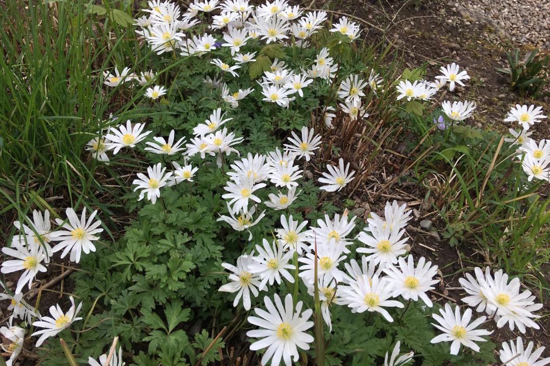 Photo of Others in Jyderup