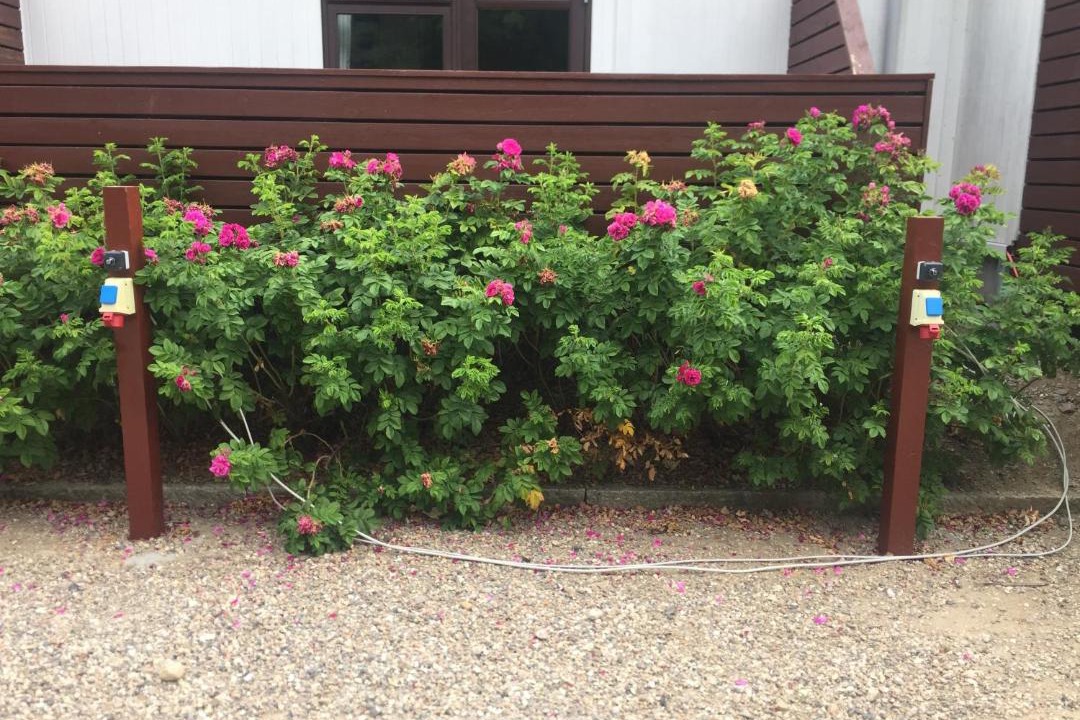 Photo of Others in Jyderup