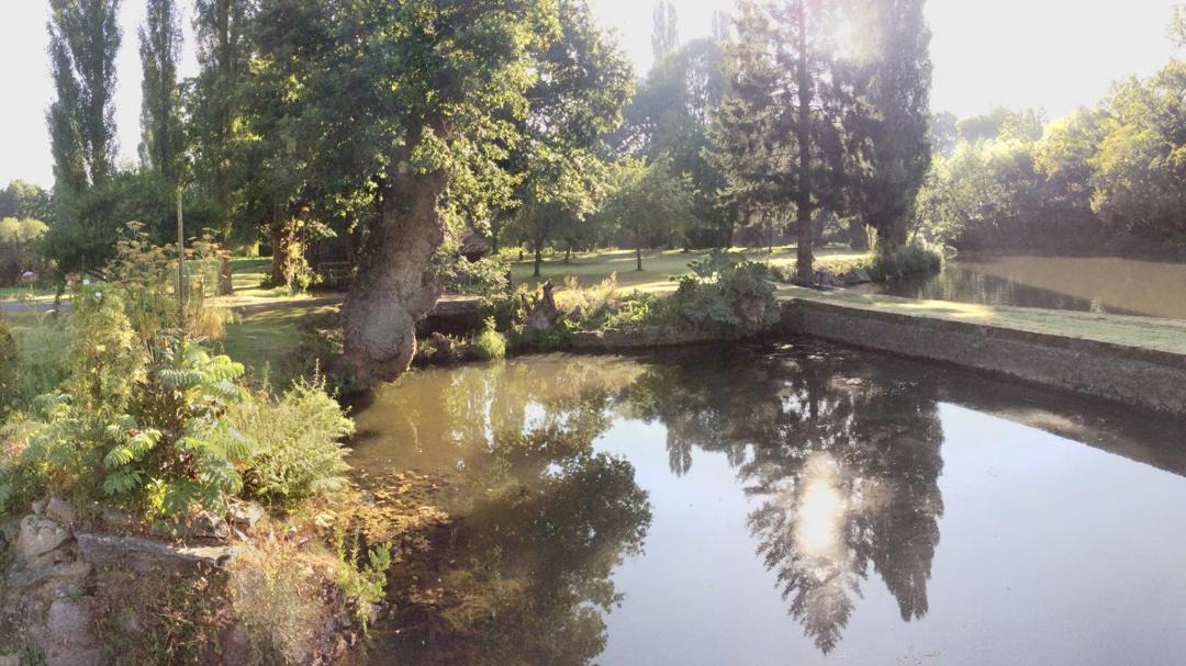 Photo of Others in Evran