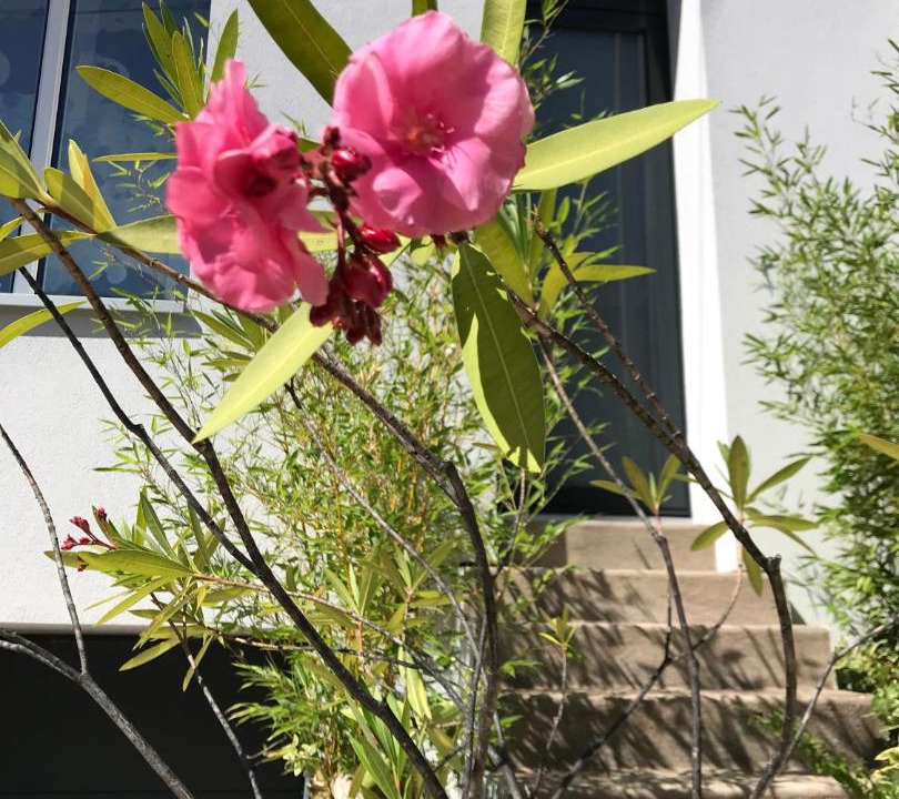 Photo of Others in Quartier Beauregard-Boufflers-Buthegnemont-Boudonville