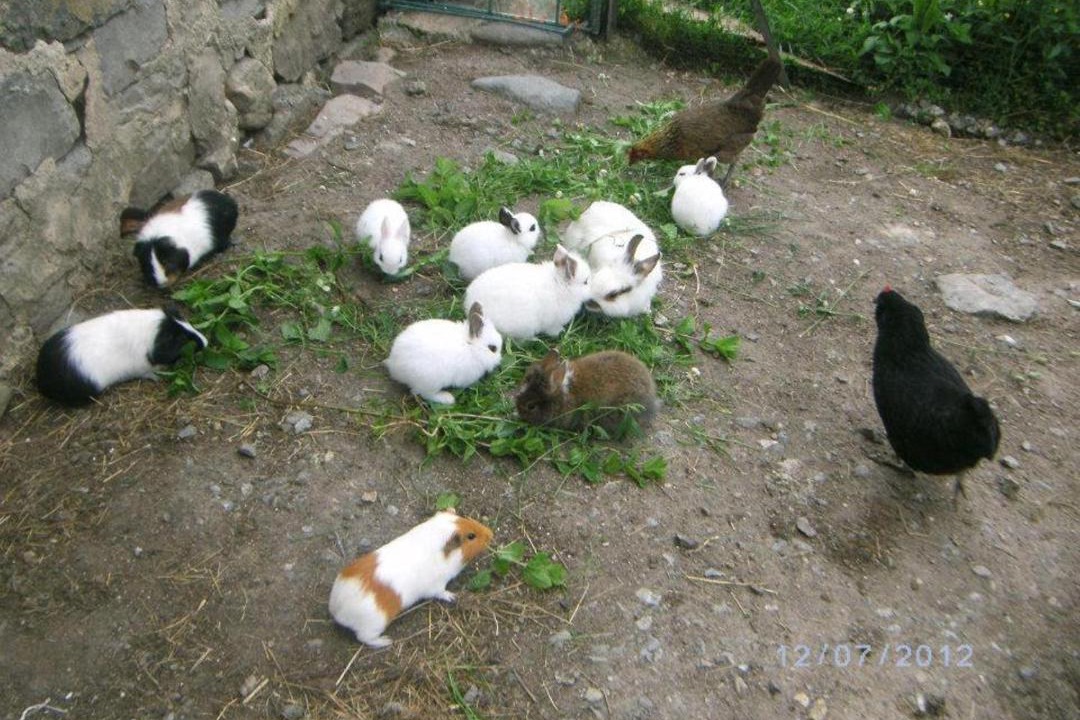 Photo of Others in Saint-Dizier-les-Domaines