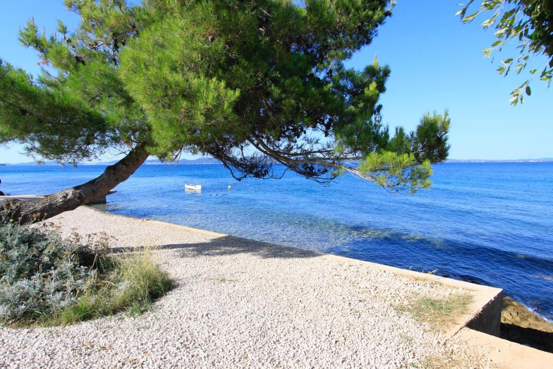 Photo of Outdoor in Kozino