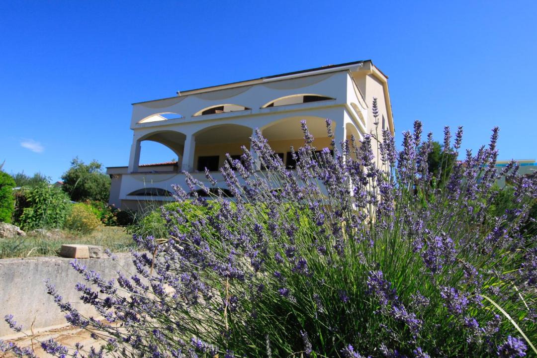 Photo of Buildings in Kozino