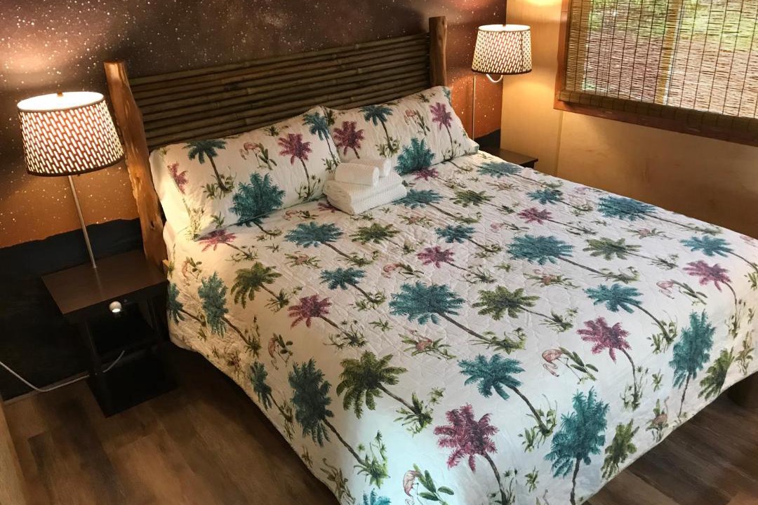 Photo of Others in Fern Forest