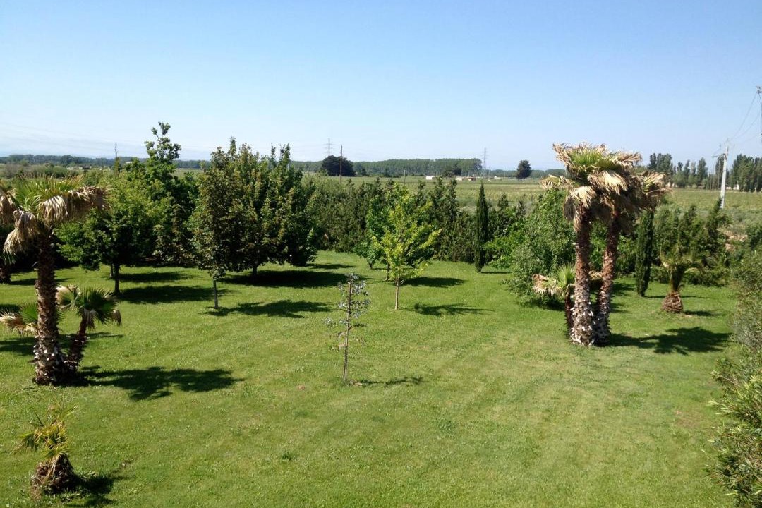 Photo of Others in Bessan