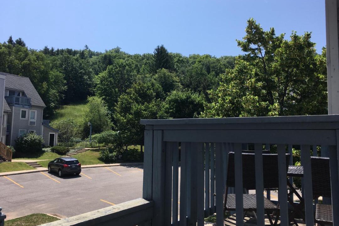 Photo of Others in Craigleith