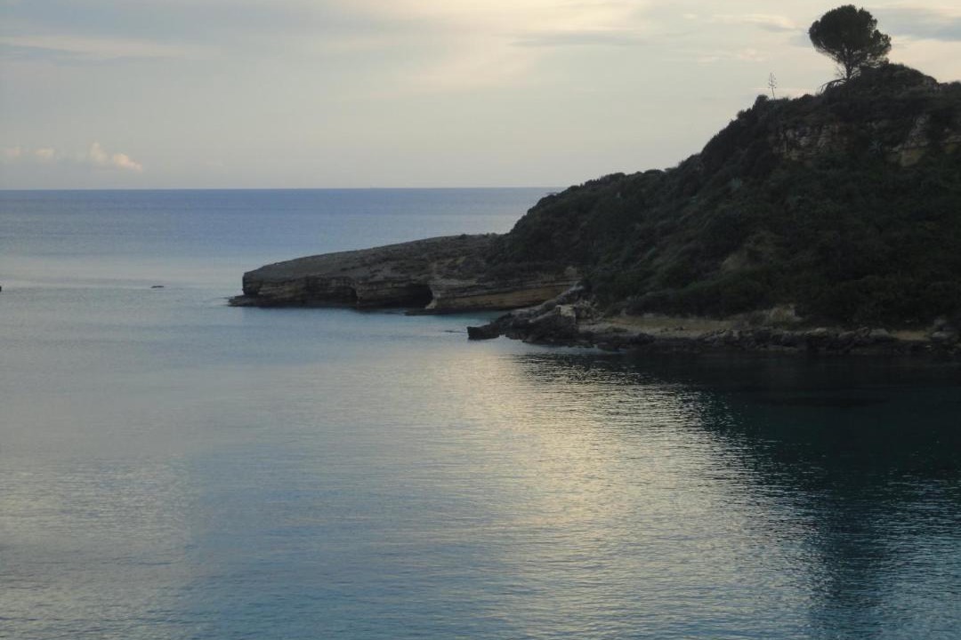 Photo of Others in Pesada