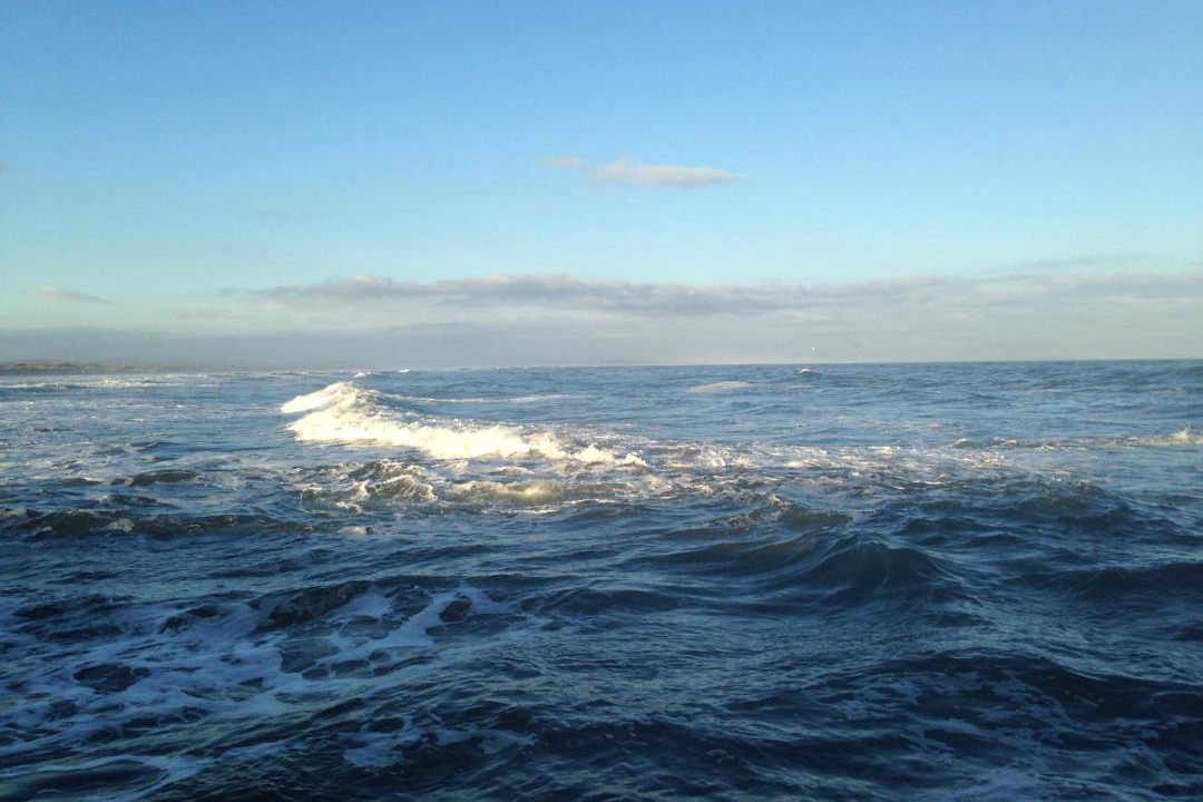 Photo of Others in Cellardyke