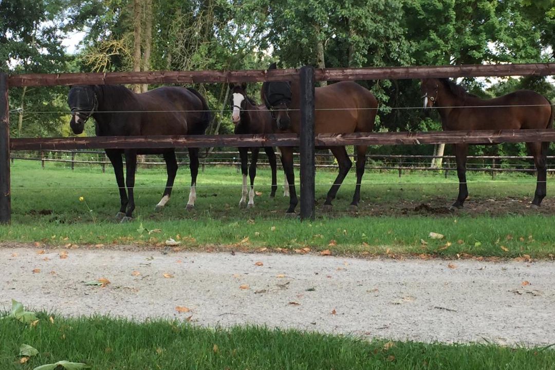 Photo of Outdoor in Goulet