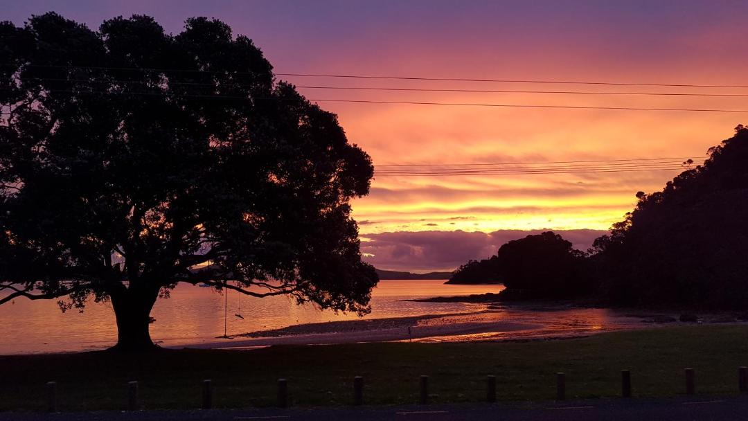 Photo of Others in Coromandel