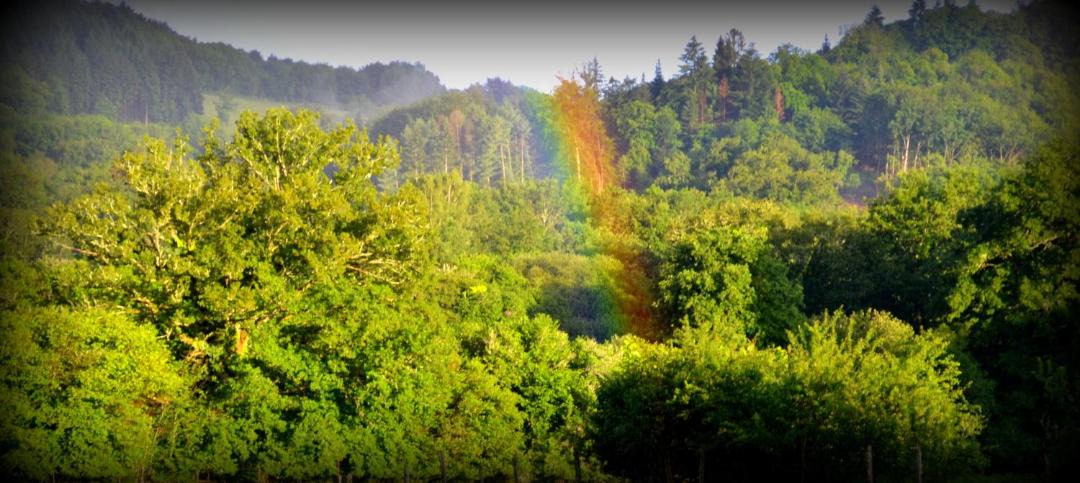 Photo of Others in Saint-Moreil