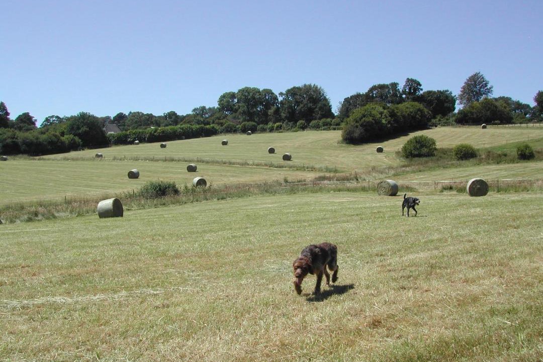 Photo of Others in Coulouvray-Boisbenatre