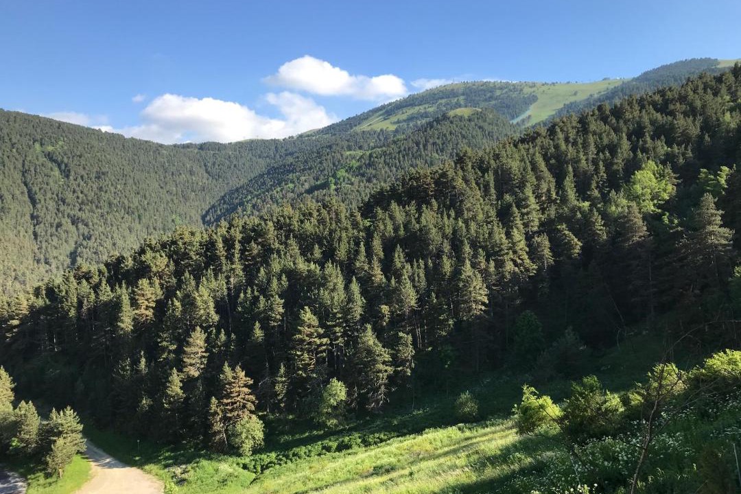 Photo of Others in La Molina