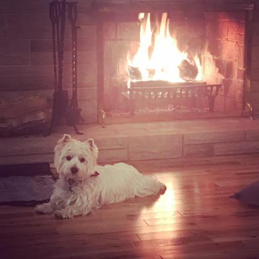 Photo of Others in Truro