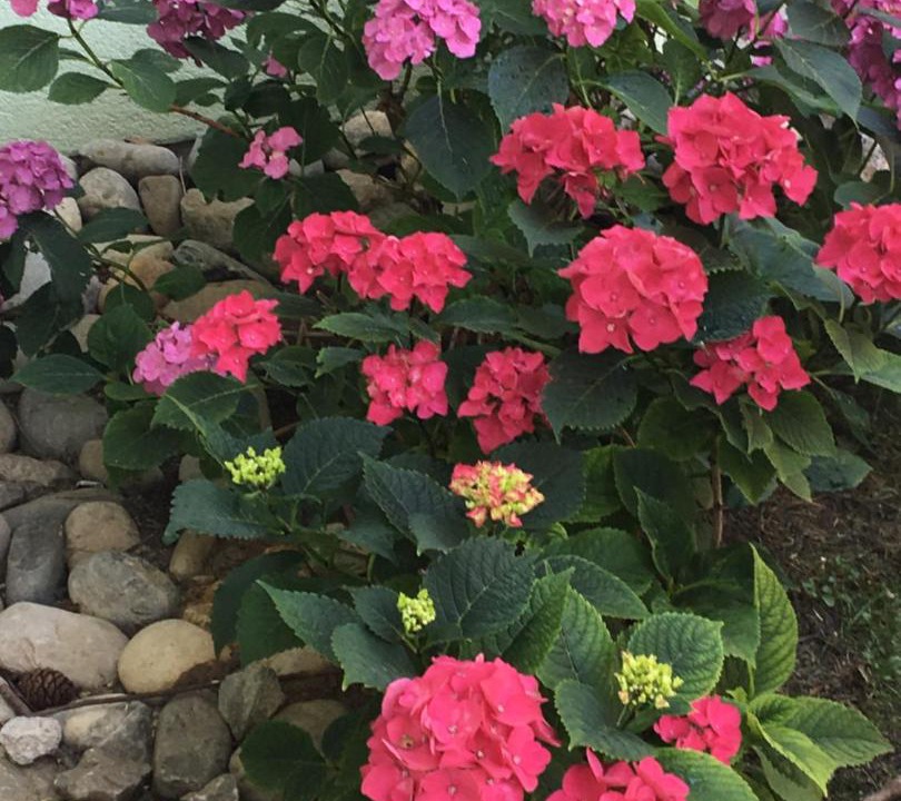 Photo of Outdoor in Rolle