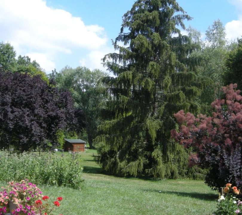 Photo of Outdoor in Daillancourt