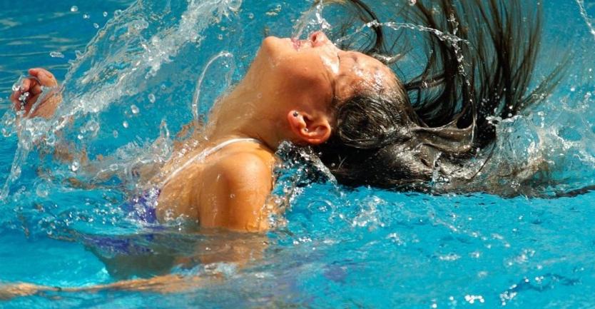 Photo of Others in Provency