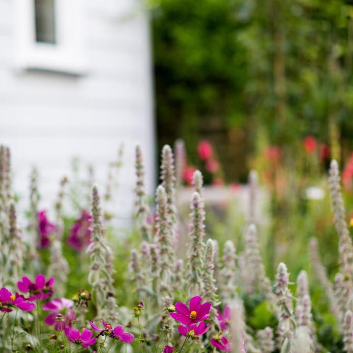 Photo of Others in Whitianga