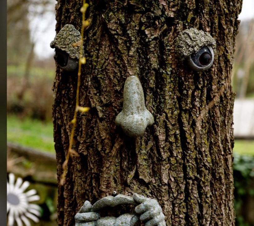 Photo of Others in Clifton