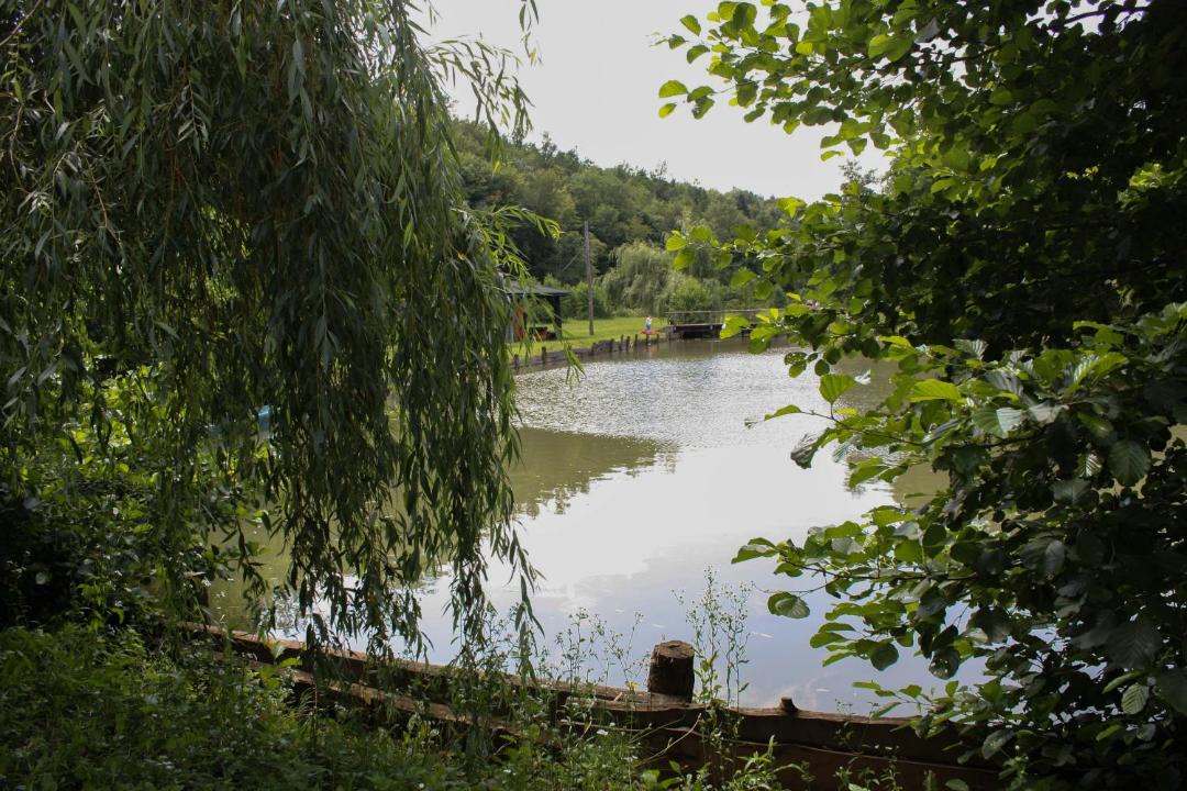 Photo of Outdoor in Presika