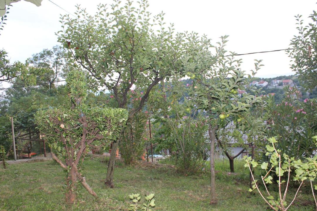 Photo of Outdoor in Rijeka