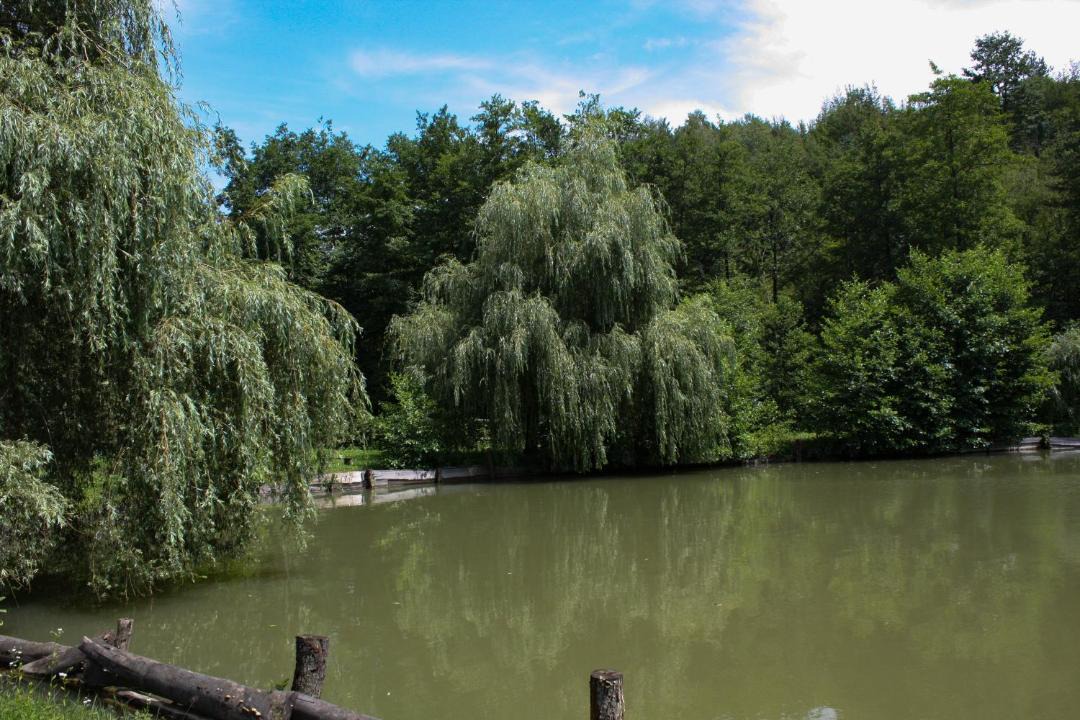 Photo of Outdoor in Presika