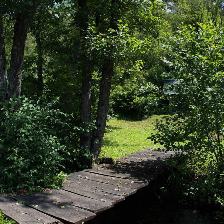 Photo of Others in Presika