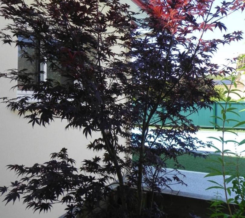 Photo of Others in Orthevielle