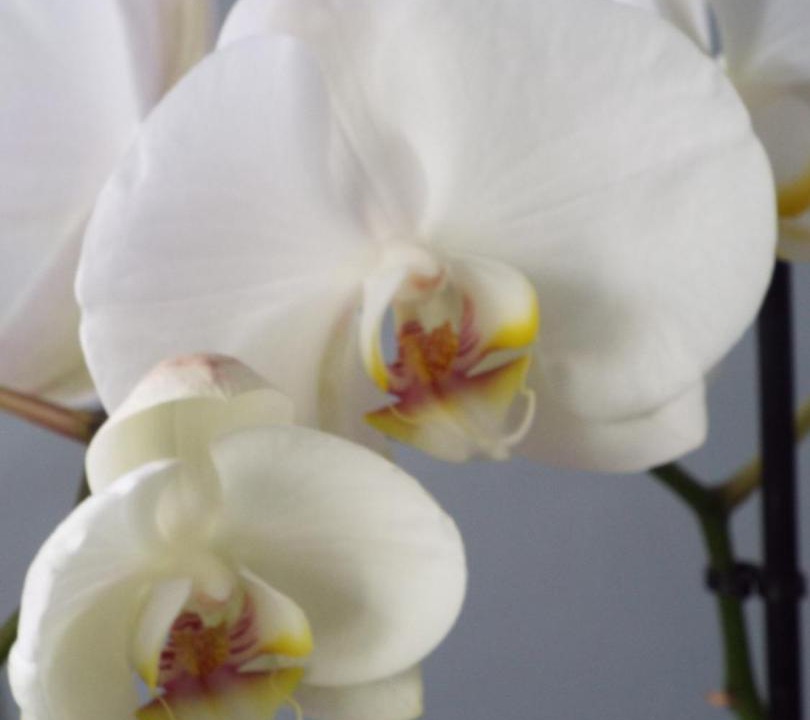 Photo of Others in La Roche-Guyon