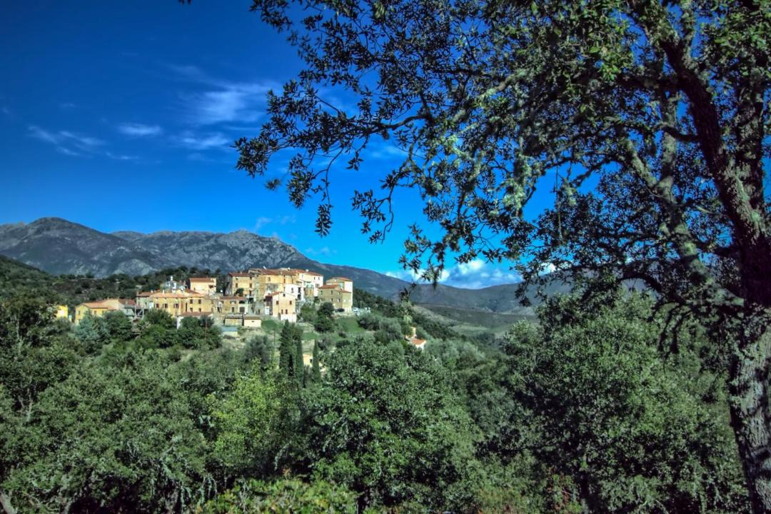 Photo of Others in Piedigriggio