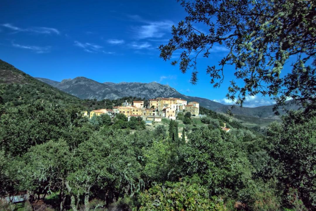 Photo of Others in Piedigriggio