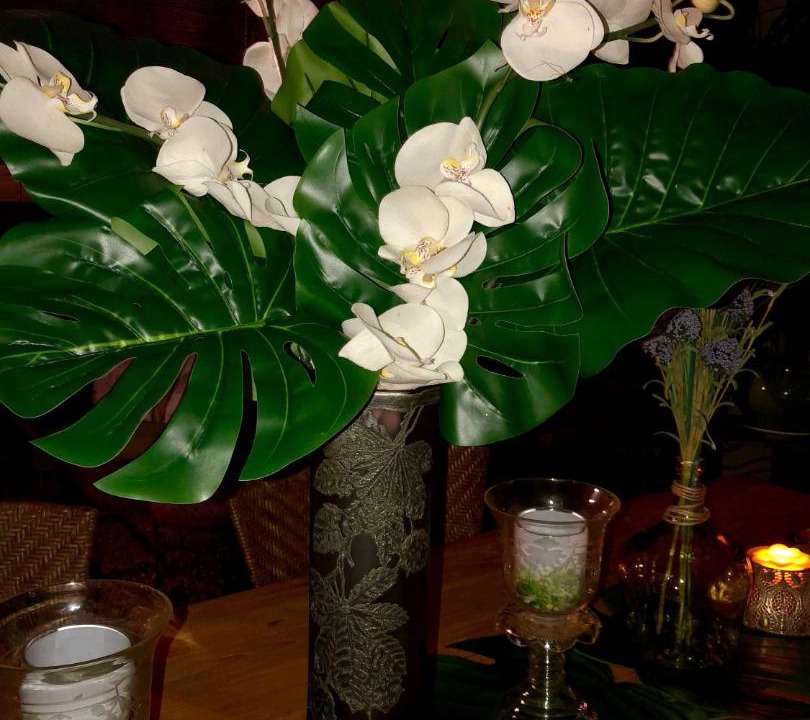 Photo of Others in Sillans-la Cascade