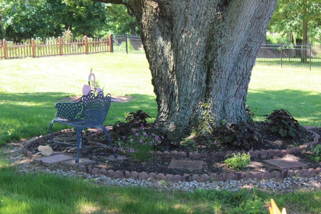 Photo of Others in Palmyra