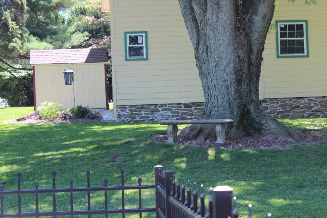 Photo of Others in Palmyra