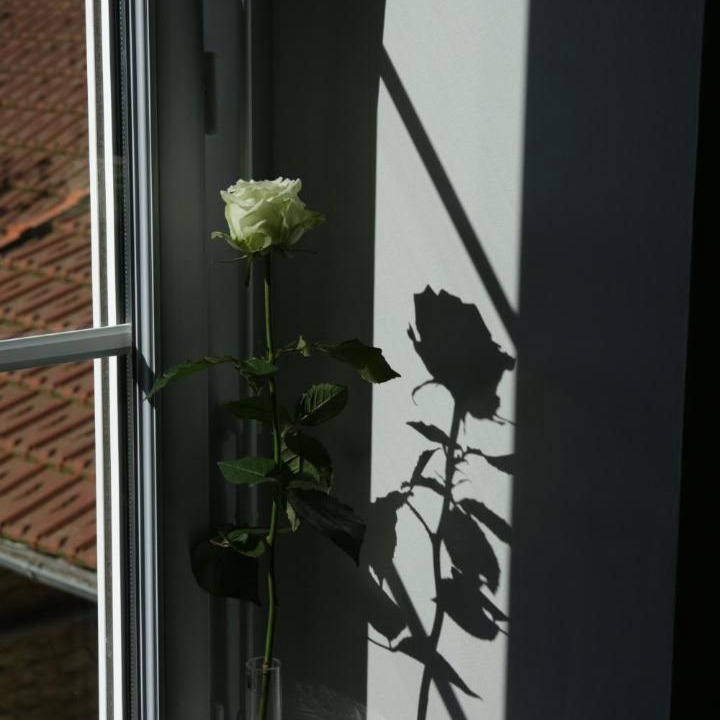 Photo of Others in Esquay-sur-Seulles