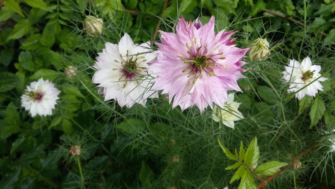 Photo of Others in La Cropte