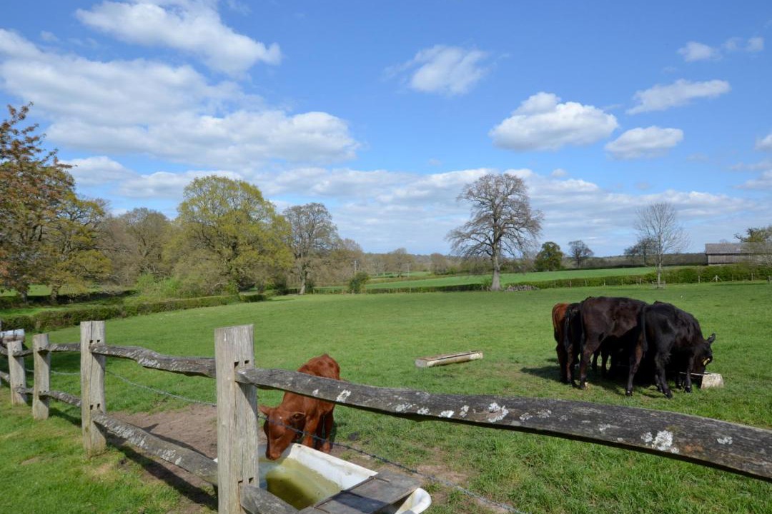 Photo of Others in Langton Green