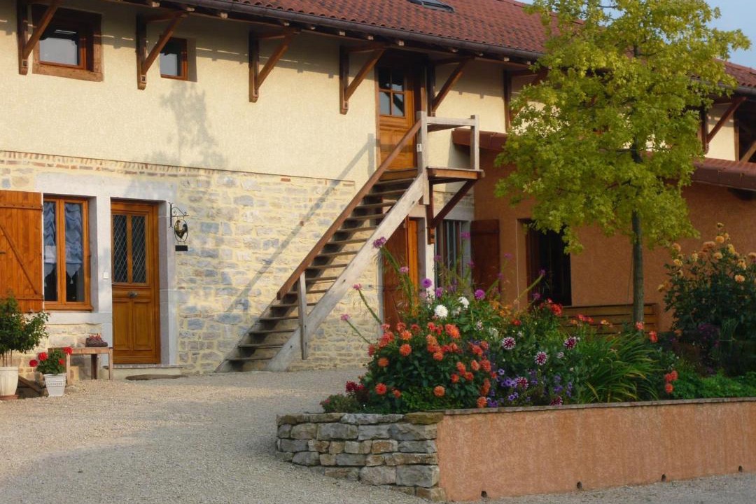 Photo of Others in Saint-Remy