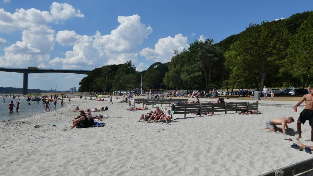 Photo of Others in Vejle