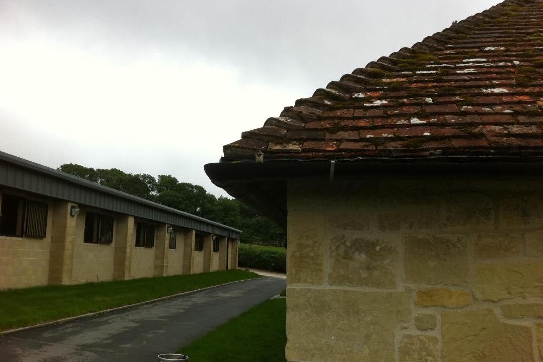 Photo of Others in Ebbesborne Wake