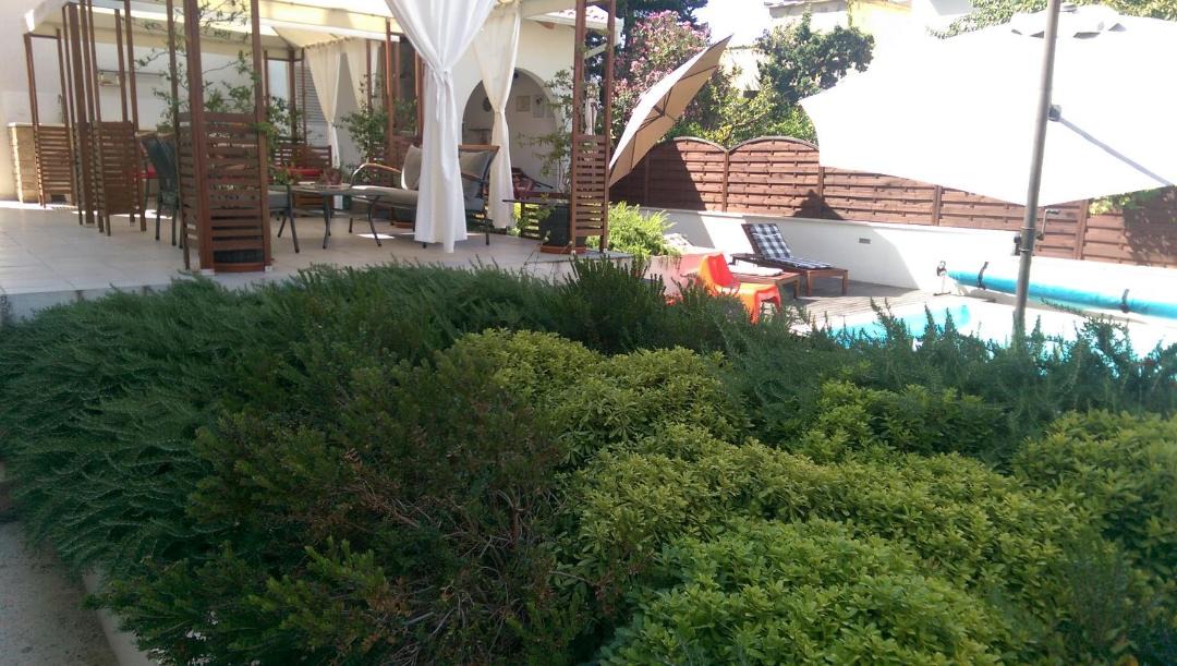Photo of Others in Gradac