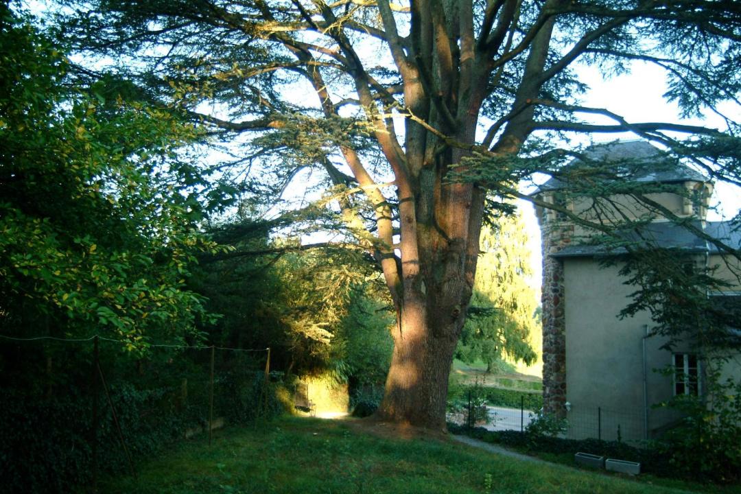 Photo of Buildings in Saint-Honore-les-Bains