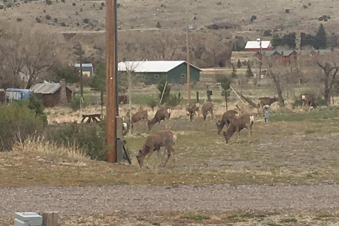 Photo of Others in South Fork