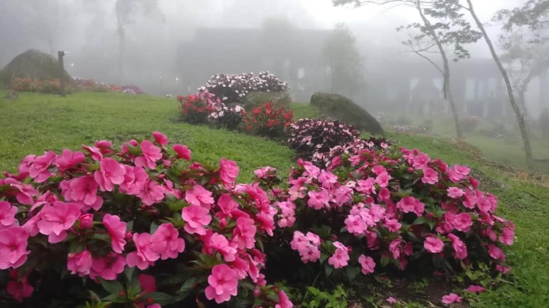 Photo of Others in Kundasang